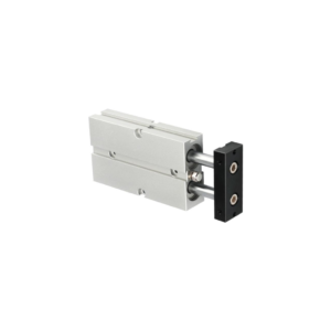 Xi lanh Compact cần đôi